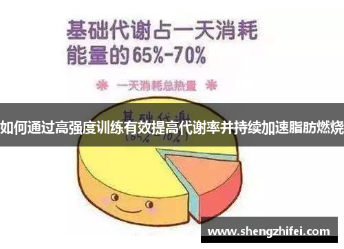 如何通过高强度训练有效提高代谢率并持续加速脂肪燃烧