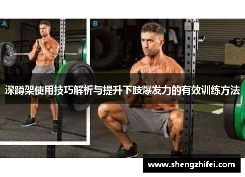 深蹲架使用技巧解析与提升下肢爆发力的有效训练方法